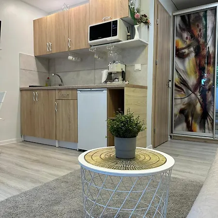 Studijos Tipo Apartamentai Połąga Zewnętrze zdjęcie