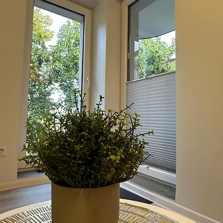 Studijos Tipo Apartamentai Połąga Zewnętrze zdjęcie